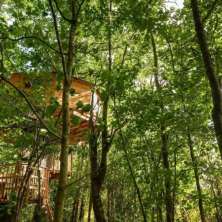 De La Grande Noe Les Epasses