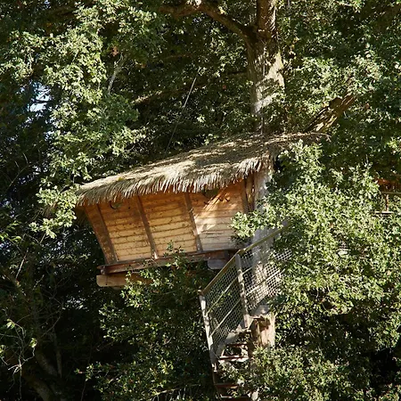 Деревянный коттедж De La Grande Noe