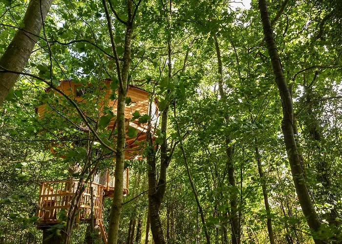 De La Grande Noe Les Epasses