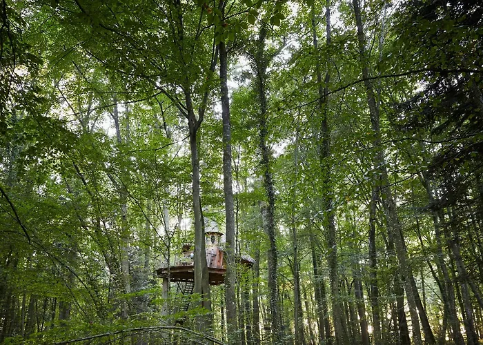 Lodge De La Grande Noe